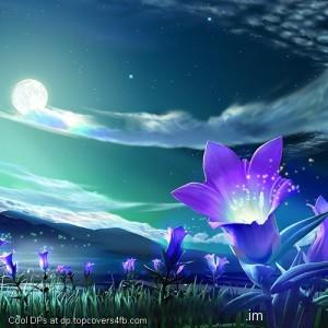 Shining-Flower-With-moon-Display-Picture