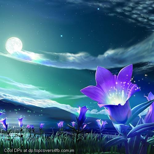 Shining-Flower-With-moon-Display-Picture