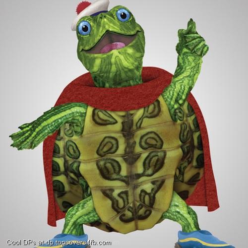 Something-New-Turtle-Display-Picture