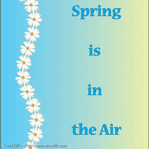 Spring-Is-In-The-Air-Display-Picture