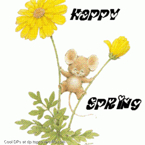Spring-Wishes-From-Cute-Mouse-Display-Picture