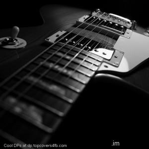 Strings-Of-Guitar-Display-Picture