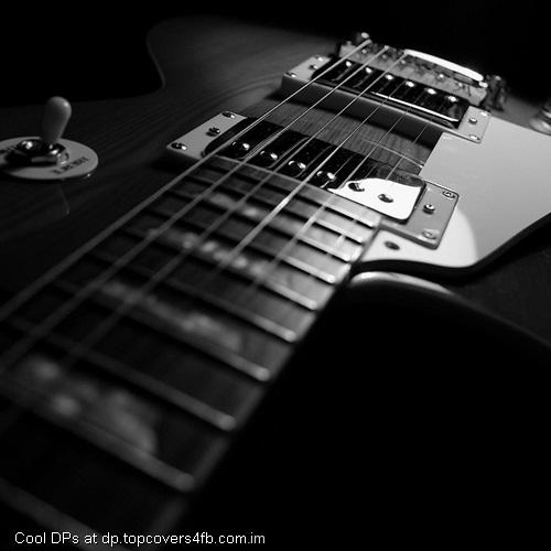 Strings-Of-Guitar-Display-Picture