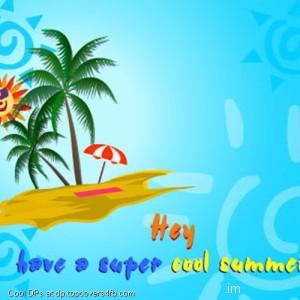 Super-Cool-Summer-Display-Picture