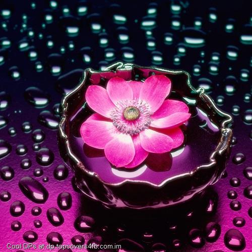 Swim-Over-The-Water-Display-Picture