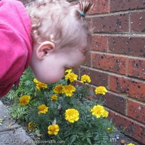 Take-some-Fregnance-Display-Picture