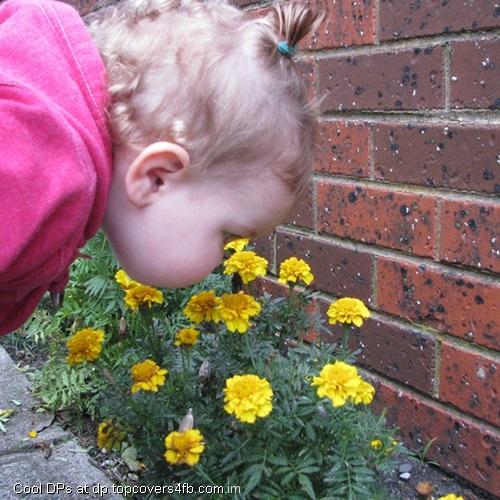 Take-some-Fregnance-Display-Picture