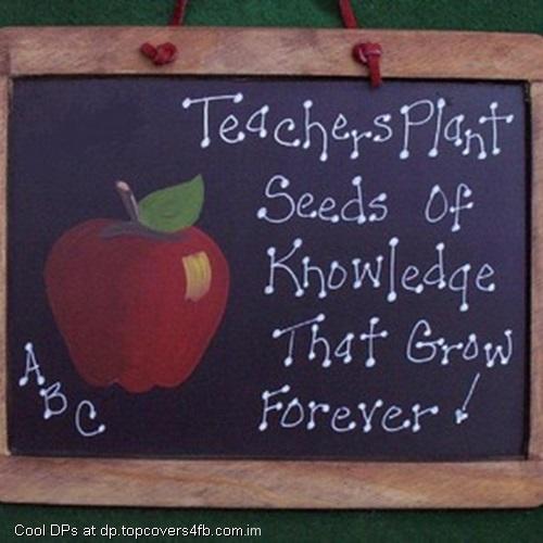 Teachers-Plant-Seeds-Of-Knowledge-Display-Picture