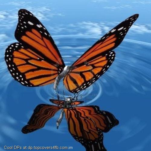 Touch-The-Water-Display-Picture