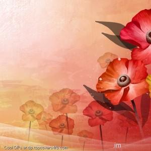 Vector-with-illustion-Display-Picture