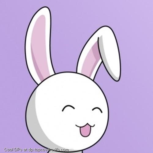 White-Funny-Bunny-Display-Picture
