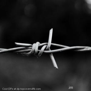 Wires-Along-The-Border-Display-Picture