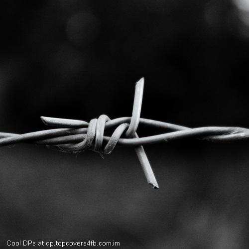 Wires-Along-The-Border-Display-Picture