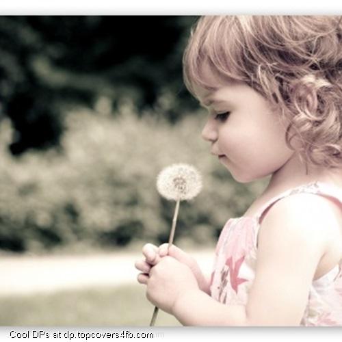 Wishing-Upon-A-Flower-Display-Picture