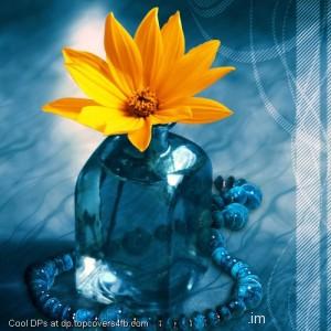 Yellow-Vector-Flower-Display-Picture