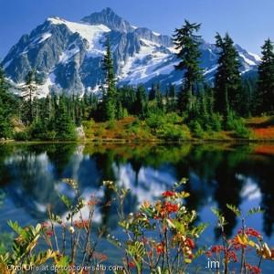 Beautiful-Scenery-Display-Picture