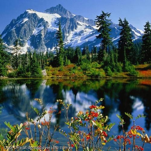 Beautiful-Scenery-Display-Picture