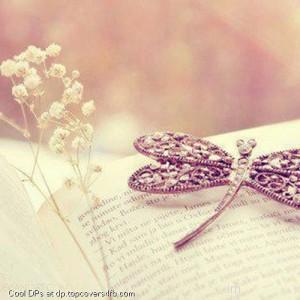 Buuterfly-Glitter-Display-Picture