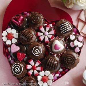 Chocolate-Love-Cakes-Display-Picture