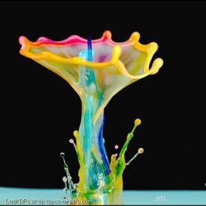 Color-Splash-Display-Picture