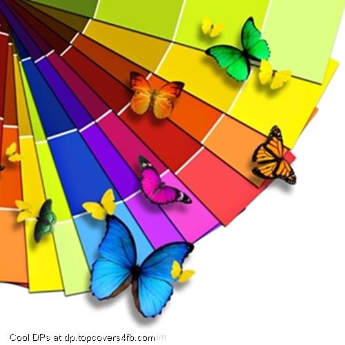 Colorful-Butterflies-Wide-Display-Picture