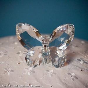 Crystal-White-Butterfly-Display-Picture