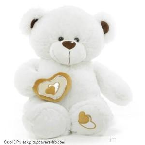 Cute-White-Teddy-Bear-Display-Picture