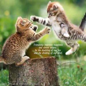 Friendship-Improves-Happiness-Display-Picture