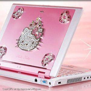 Kitty-Pink-Glittery-Laptop-Display-Picture