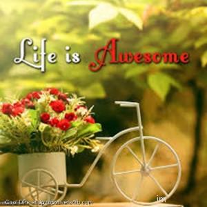Life-Is-Awesome-Display-Picture