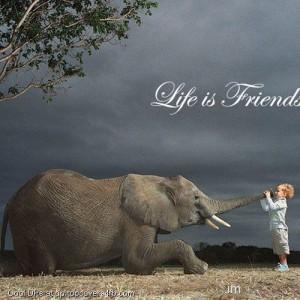 Life-Is-Friends-Display-Picture