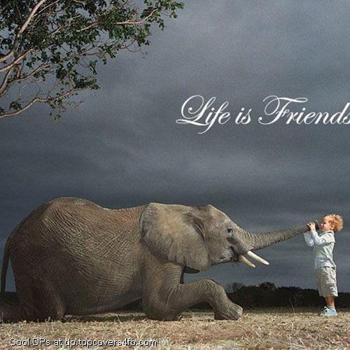 Life-Is-Friends-Display-Picture