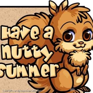Nutty-Summer-Cute-Squirrel-Display-Picture