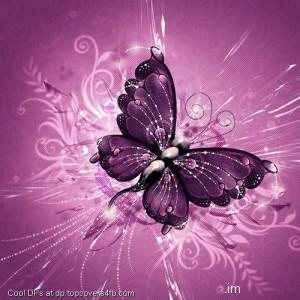Pink-Butterfly-Display-Picture
