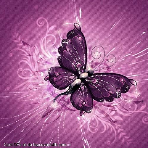 Pink-Butterfly-Display-Picture