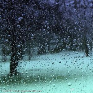 Rainy-Season-Drops-Display-Picture