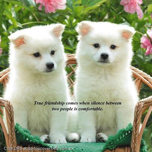 Silence-In-Friendship-Display-Picture