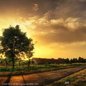 Sunny-Beautiful-Day-Display-Picture