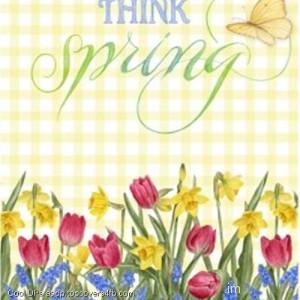 Think-Spring-Display-Picture