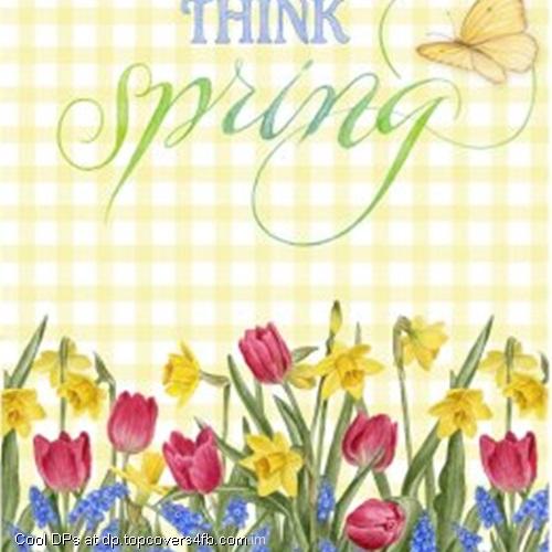 Think-Spring-Display-Picture