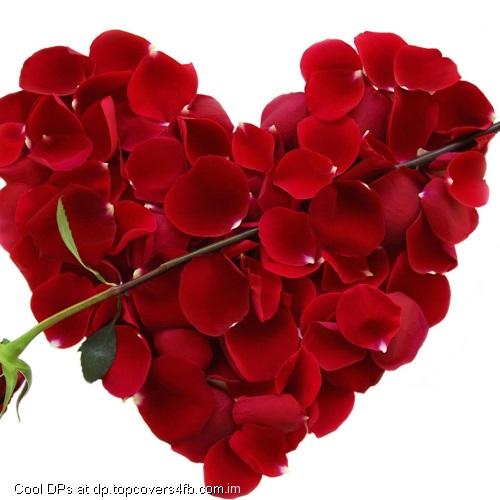 Valentines-Day-Rose-Display-Picture