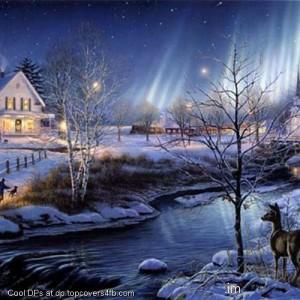 Winter-Night-Deer-Display-Picture