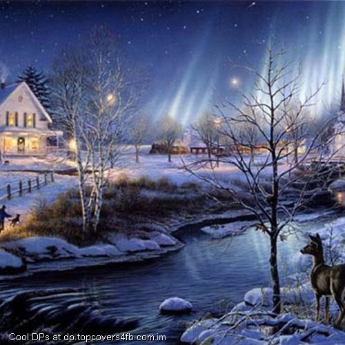 Winter-Night-Deer-Display-Picture