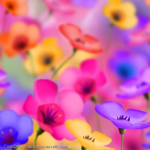 Colorful-Flowers-Display-Picture