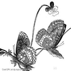 Colour-Fill-With-Flower-Display-Picture