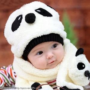 Cute-Panda-Baby-Display-Picture