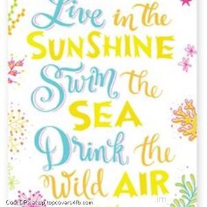 Live-In-The-Summer-Sunshine-Display-Picture