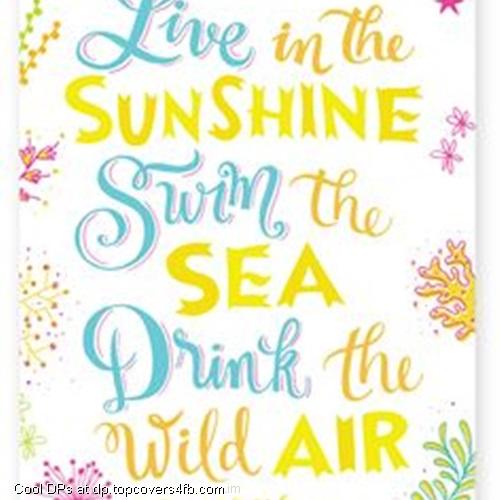 Live-In-The-Summer-Sunshine-Display-Picture