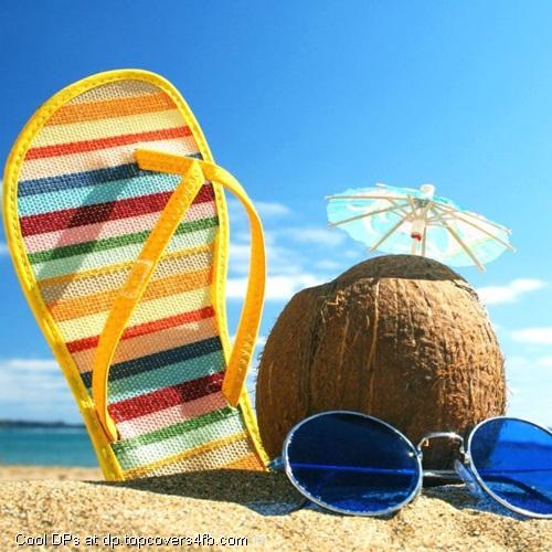 Shinning-Summer-Day-At-The-Beach-Display-Picture