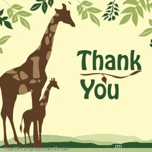 Animals-Thank-You-Display-Picture